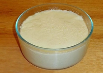 Yoğurt Nasıl Mayalanır?